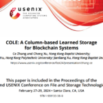 A Column-based Learned Storage for Blockchain Systems